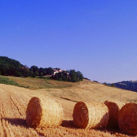 Agriturismo Il Fienile Di Ca Battista Apartment Cagli Luaran gambar