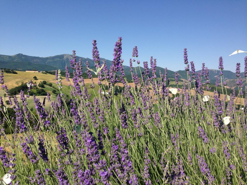 Agriturismo Il Fienile Di Ca Battista Apartment Cagli Luaran gambar