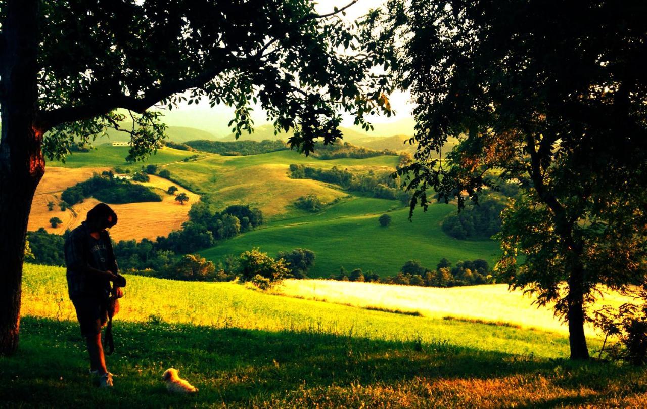 Agriturismo Il Fienile Di Ca Battista Apartment Cagli Luaran gambar