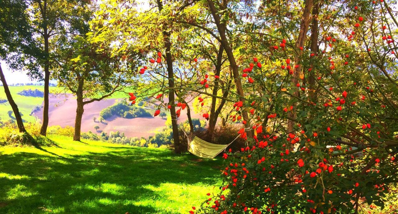 Agriturismo Il Fienile Di Ca Battista Apartment Cagli Luaran gambar