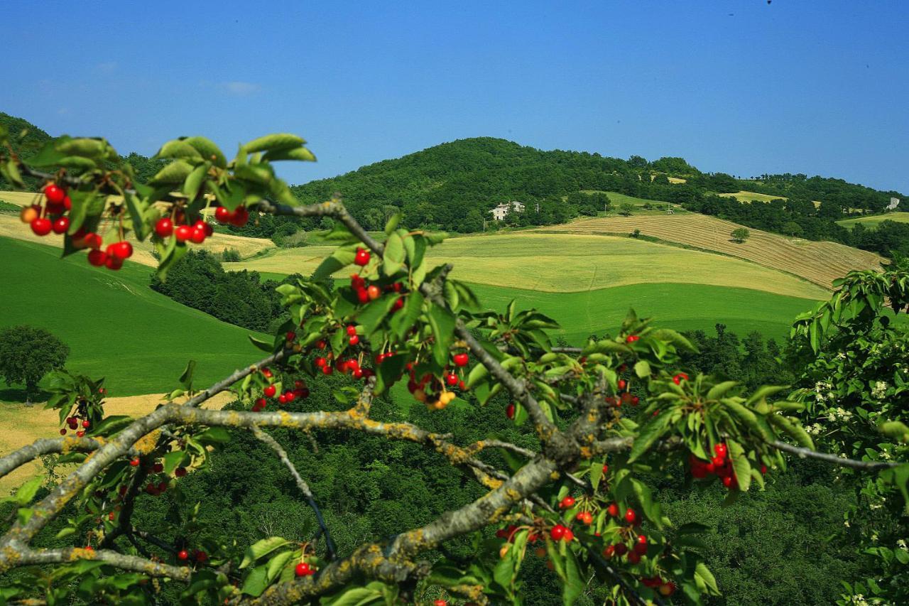 Agriturismo Il Fienile Di Ca Battista Apartment Cagli Luaran gambar