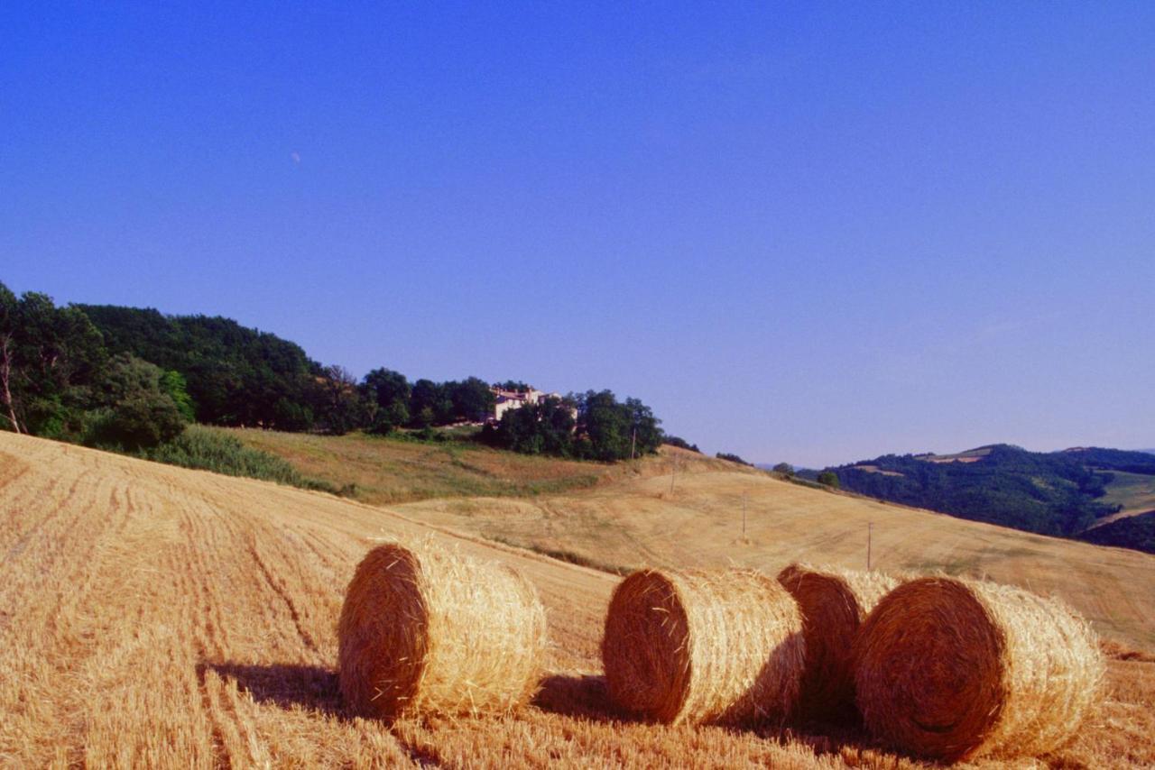 Agriturismo Il Fienile Di Ca Battista Apartment Cagli Luaran gambar